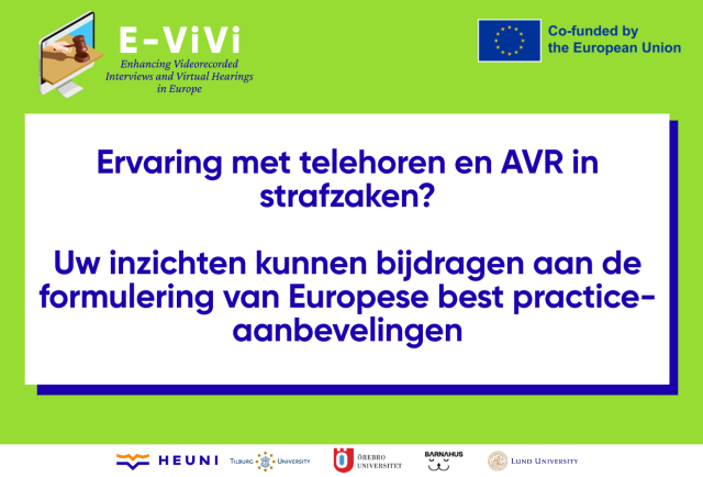 EVivi project logo